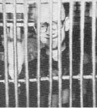 �������� � ���� ���� �� ��������