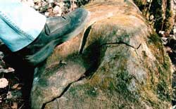 ���� ����, ������������ � �����