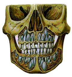 ���. 2. ������������ ����� ������ ������ ��������