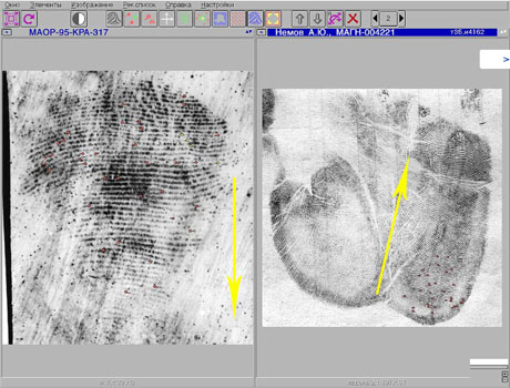 ������������� � ���� �������